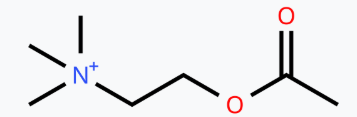 Acetylcholine Chloride
